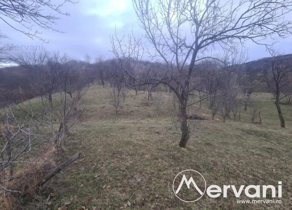 Teren Intravilan de Vanzare Comarnic - foto 2