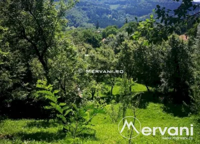 Teren de vanzare in Comarnic (zona Poiana) - Comarnic