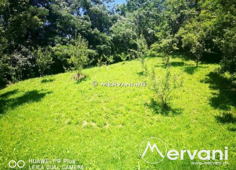 Teren de vanzare in Comarnic (zona Poiana) - foto 2