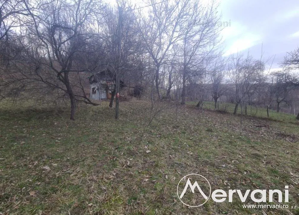 Teren de vanzare in Comarnic (zona Poiana) - foto 6