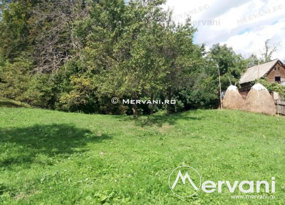 Teren de vanzare in Comarnic (zona Ghiosesti) - foto 5