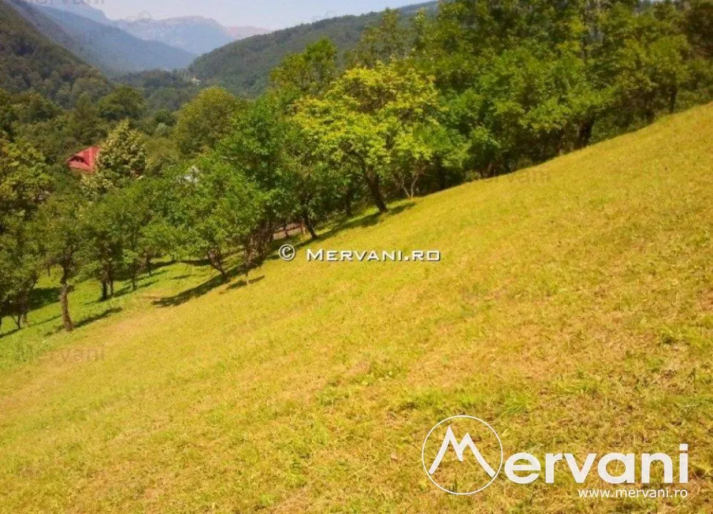 Teren de vanzare in Comarnic (zona Posada) - foto 6