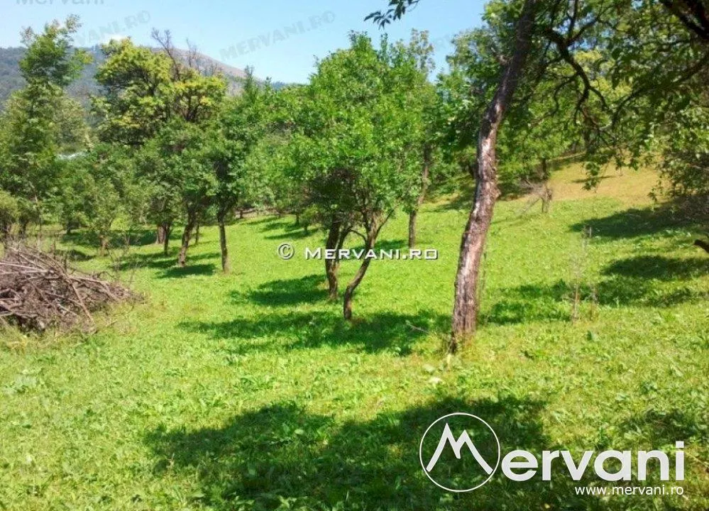Teren de vanzare in Comarnic (zona Posada) - foto 7