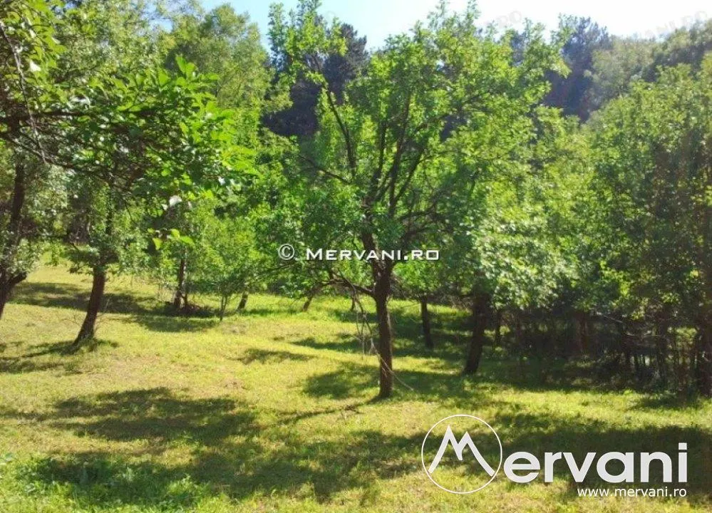 Teren de vanzare in Comarnic (zona Posada) - foto 8