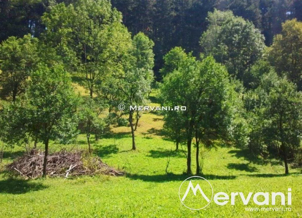 Teren de vanzare in Comarnic (zona Posada) - foto 10