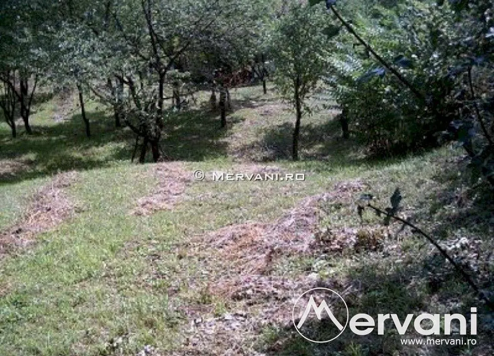 Teren de vanare in Poiana Campina - foto 2