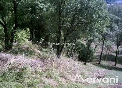 Teren de vanare in Poiana Campina - foto 3