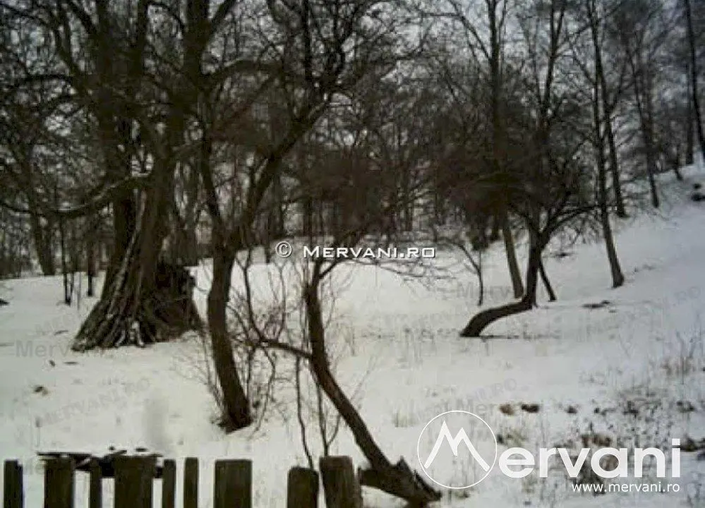Teren de vanzare in Breaza (zona Clubul de Golf) - foto 1