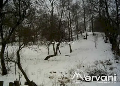 Teren de vanzare in Breaza (zona Clubul de Golf) - foto 2