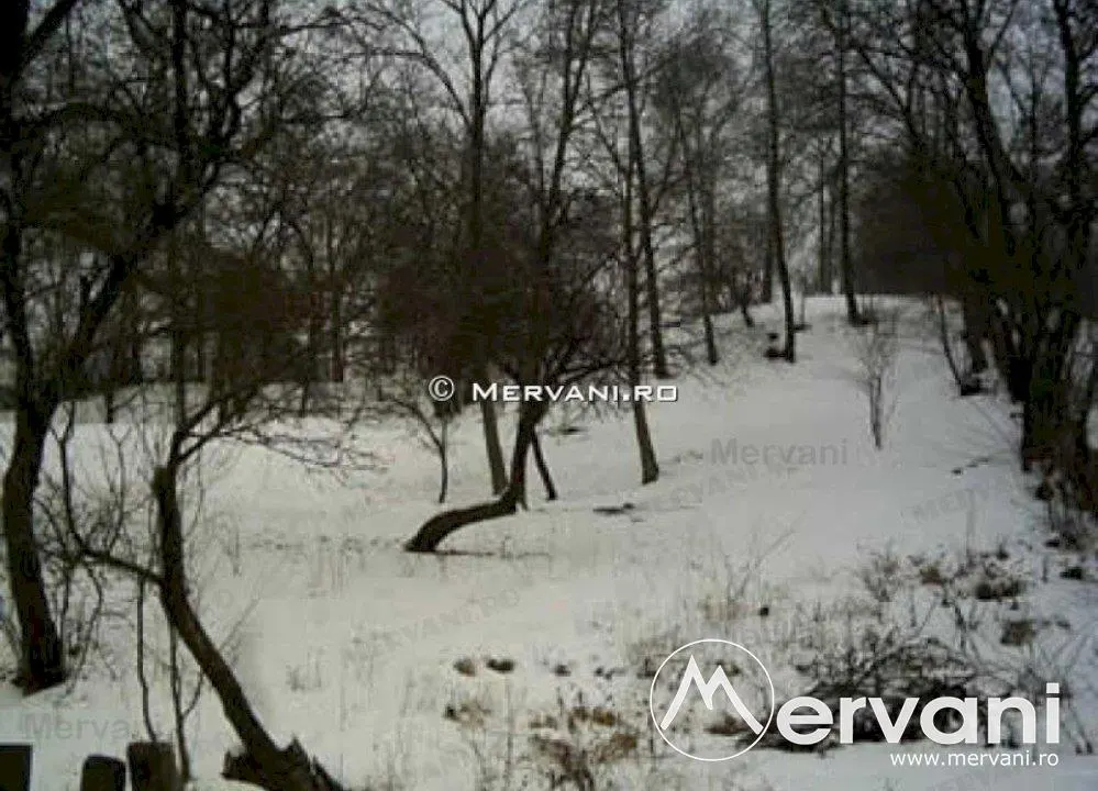 Teren de vanzare in Breaza (zona Clubul de Golf) - foto 2