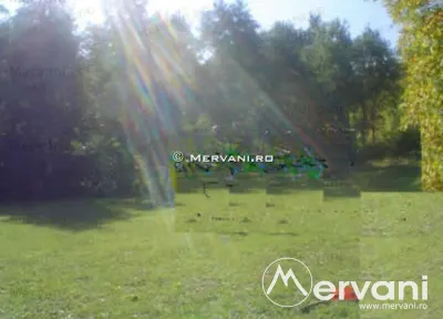 Teren de vanzare in Breaza (zona Clubul de Golf) - foto 6