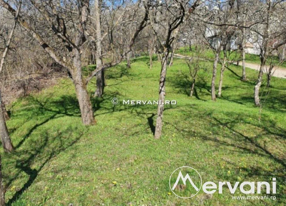 Teren de vanzare in Breaza (zona Nistoresti) - foto 1