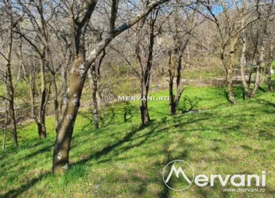 Teren de vanzare in Breaza (zona Nistoresti) - foto 4