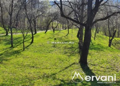 Teren de vanzare in Breaza (zona Nistoresti) - foto 6