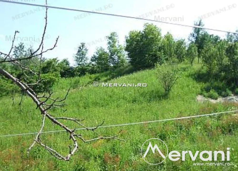 Teren de vanzare in Breaza (zona Clubul de Golf) - foto 1