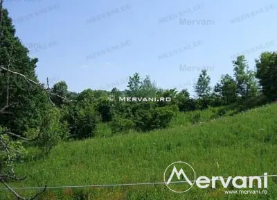 Teren de vanzare in Breaza (zona Clubul de Golf) - foto 4