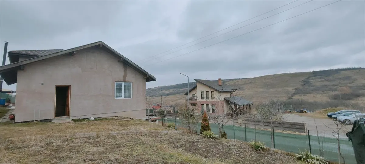 IASI VISAN BUCIUM CASA DUPLEX LA STRADA - foto 7