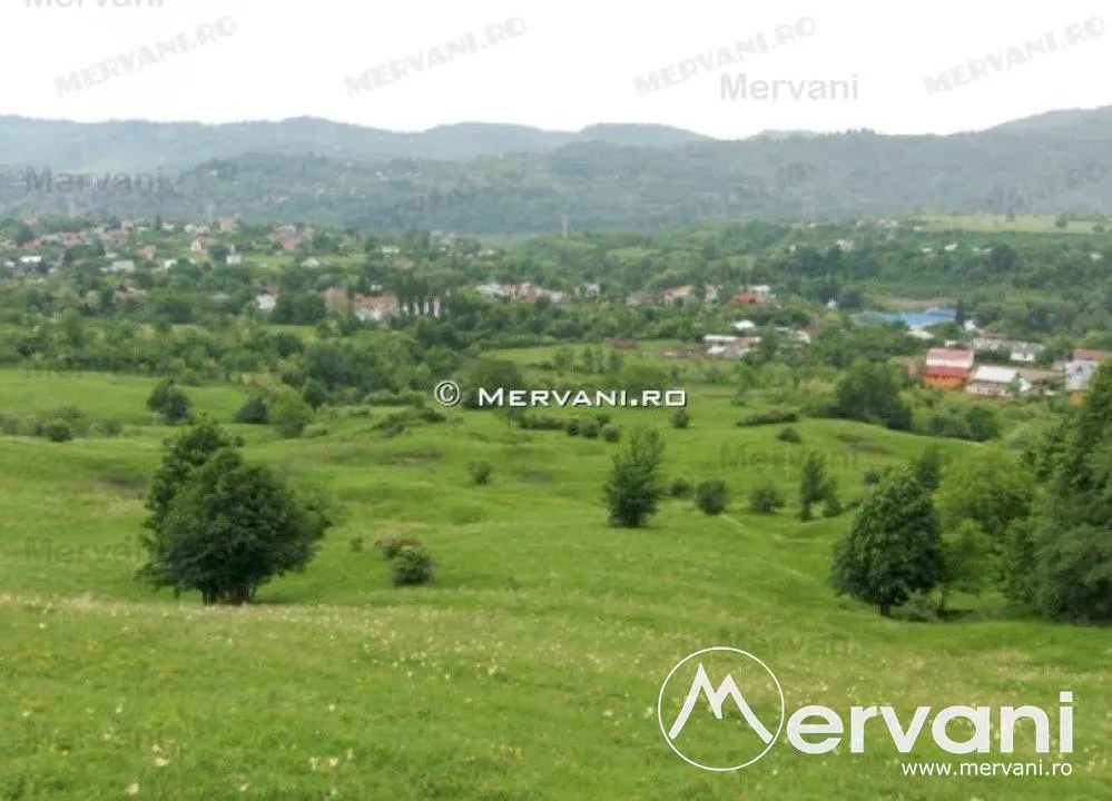 Teren de vanzare in Campina (zona Voila) - foto 1
