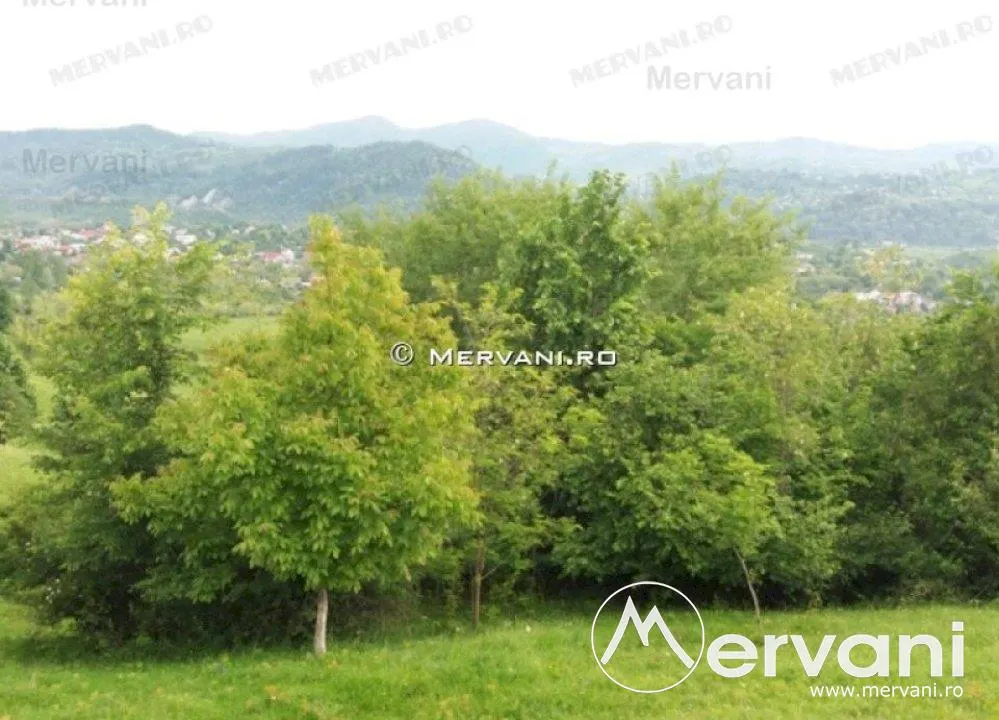 Teren de vanzare in Campina (zona Voila) - foto 2