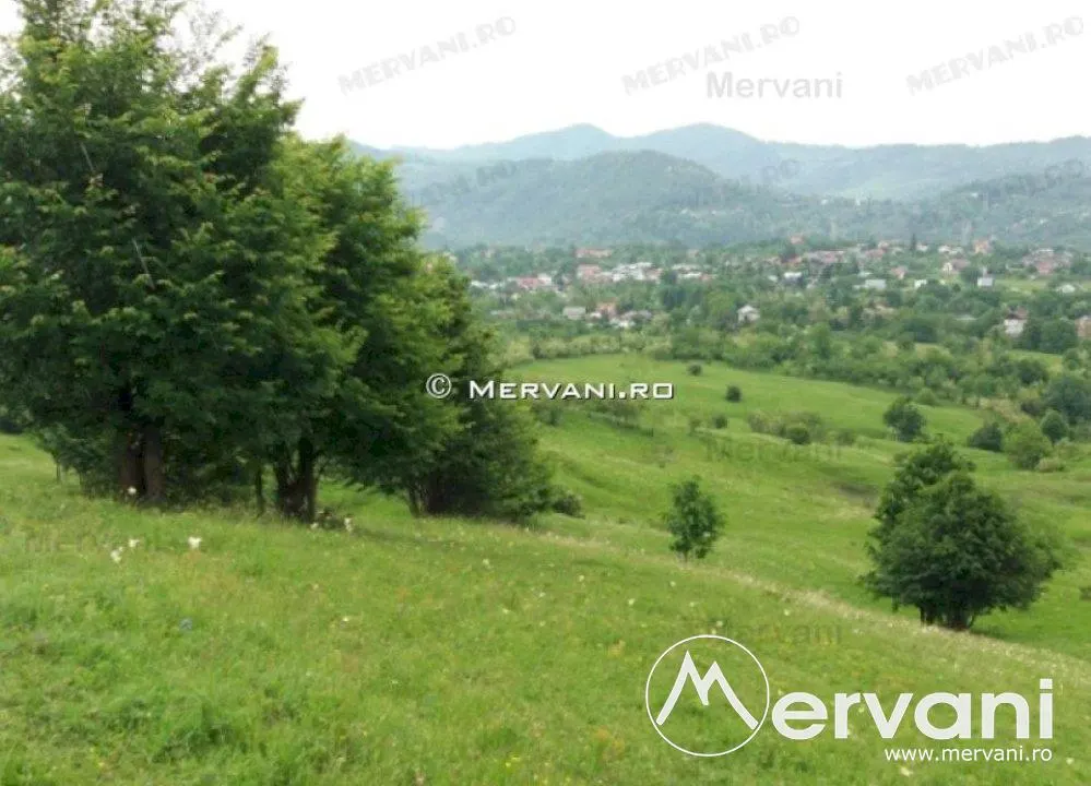 Teren de vanzare in Campina (zona Voila) - foto 3