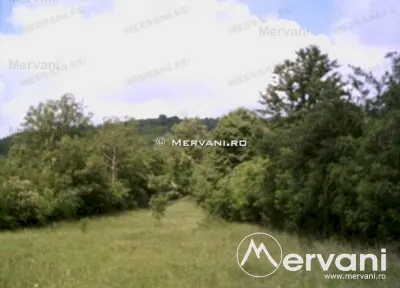 Teren de vanzare in Campina (zona Voila) - Campina