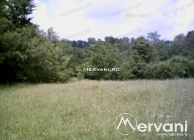 Teren de vanzare in Campina (zona Voila) - foto 4