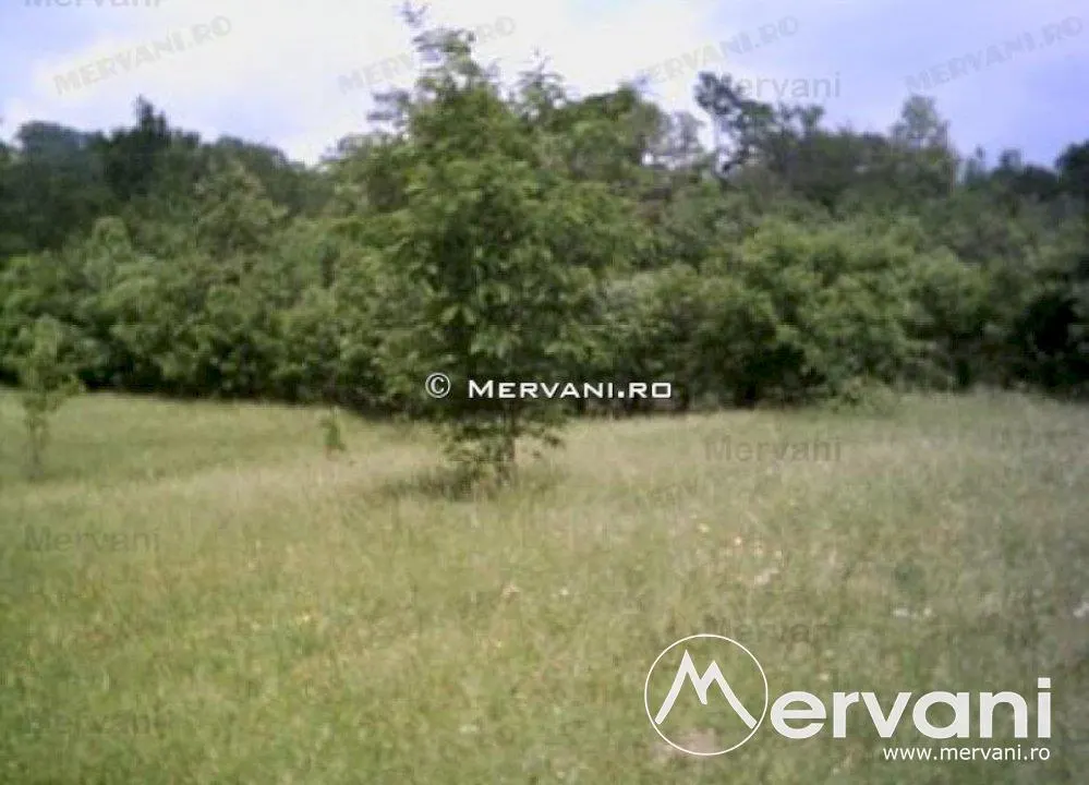 Teren de vanzare in Campina (zona Voila) - foto 5