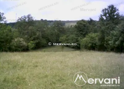 Teren de vanzare in Campina (zona Voila) - foto 7