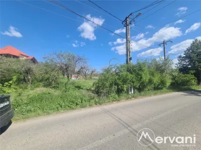 Teren de vanzare in Campina (zona Voila) - foto 2