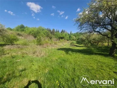 Teren de vanzare in Campina (zona Voila) - foto 7