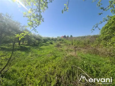 Teren de vanzare in Campina (zona Voila) - foto 8