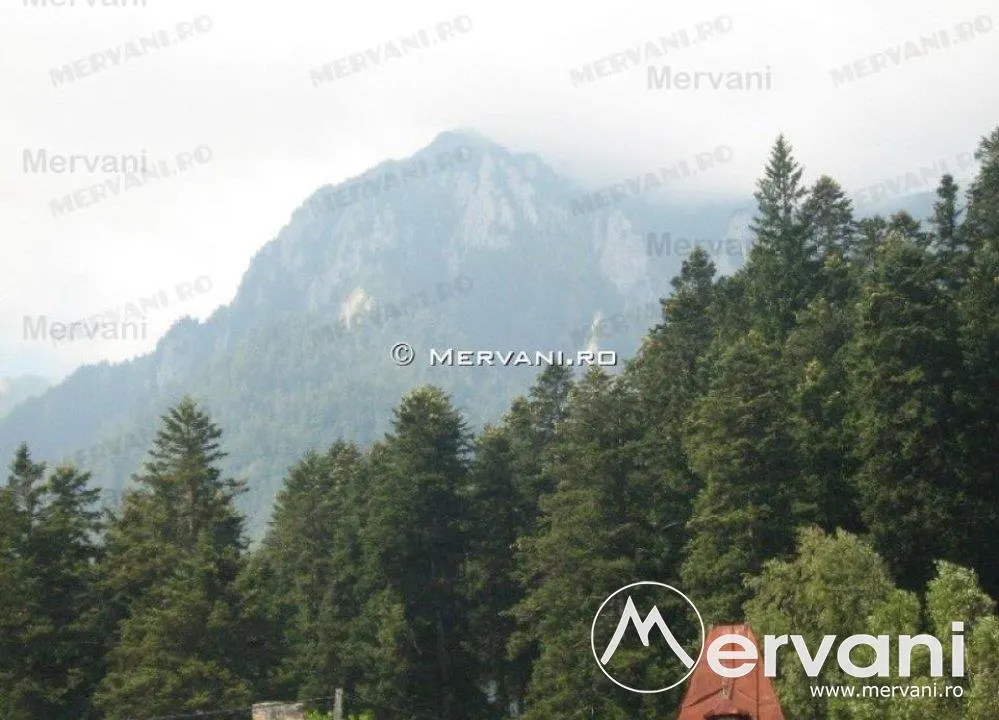 Casa de vanzare in Busteni (zona Poiana Tapului) - foto 3