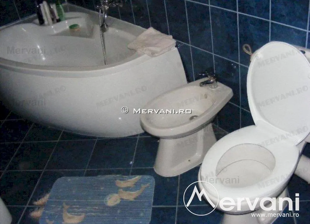 Vila de vanzare in Busteni - foto 12
