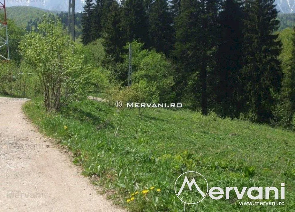 Teren de vanzare in Predeal (zona Semicentrala) - foto 1