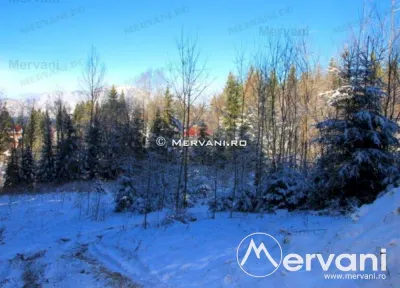 Teren de vanzare in Predeal (zona Cioplea) - foto 8