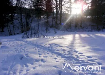 Teren de vanzare in Predeal (zona Valea Rasnoavei) - foto 4