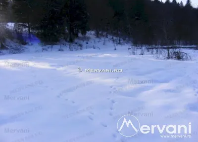 Teren de vanzare in Predeal (zona Valea Rasnoavei) - foto 5