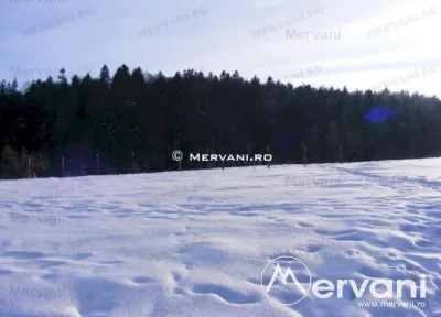Teren de vanzare in Predeal (zona Valea Rasnoavei) - foto 6