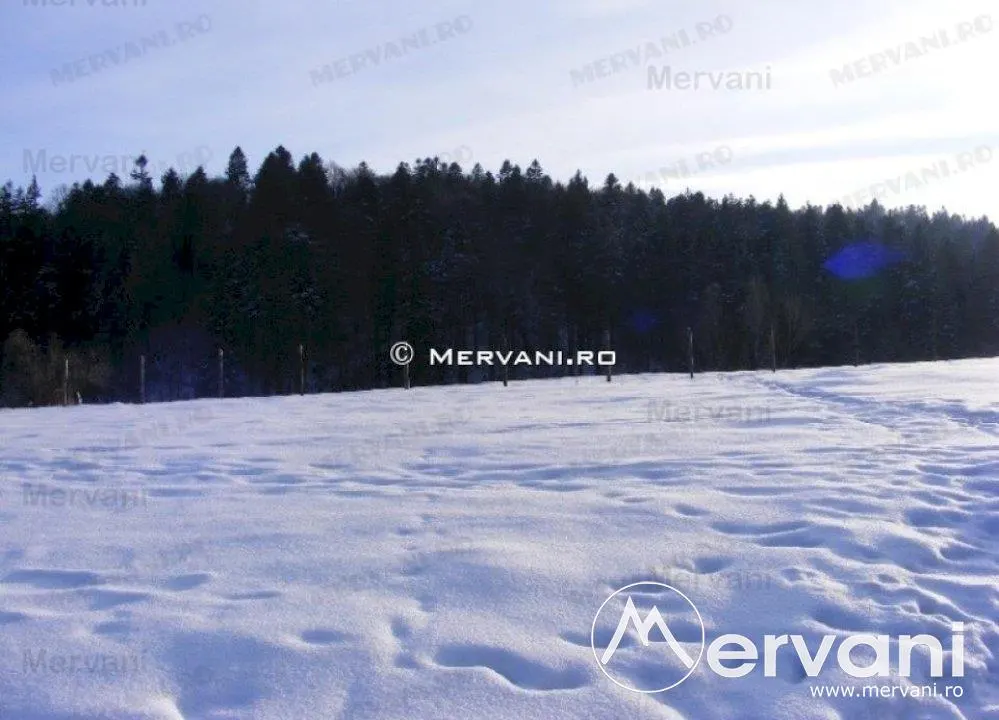 Teren de vanzare in Predeal (zona Valea Rasnoavei) - foto 6
