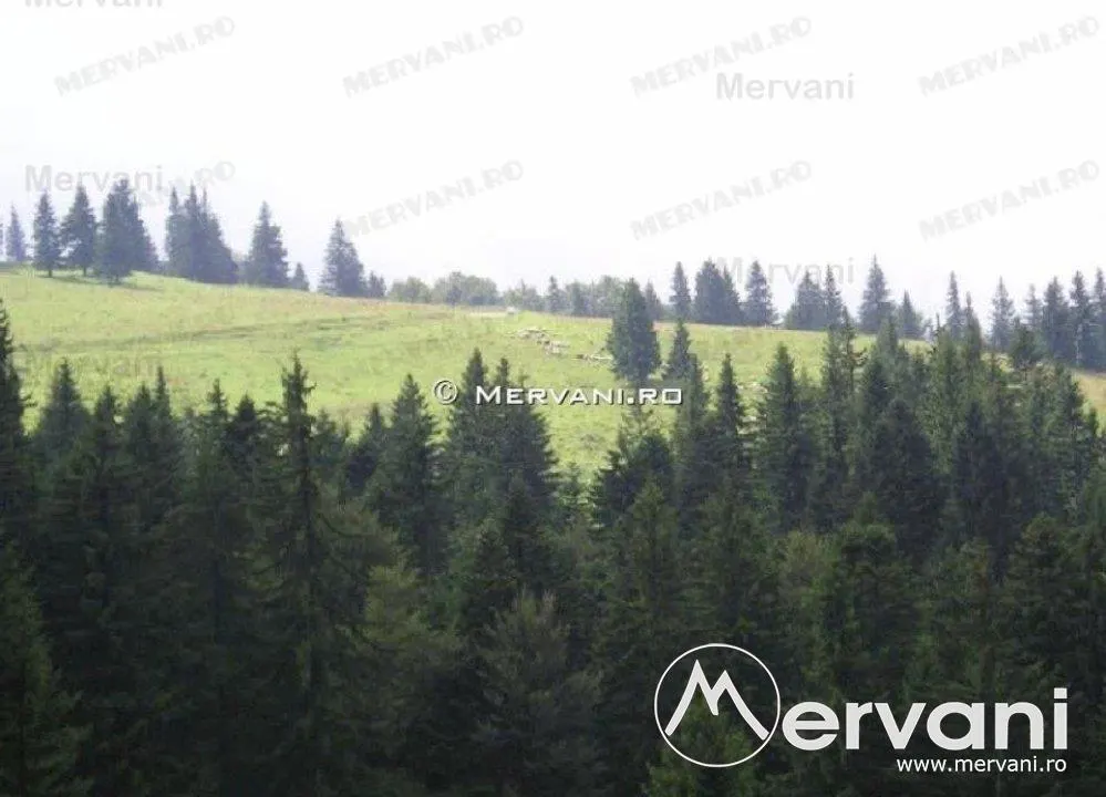 Teren de vanzare in Predeal (zona Forban) - foto 1