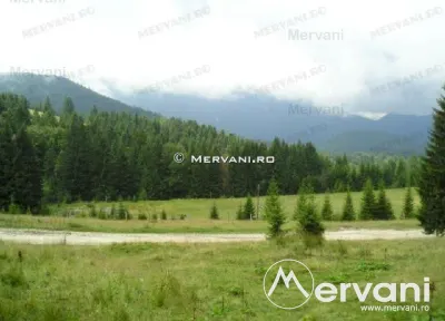 Teren de vanzare in Predeal (zona Forban) - foto 3