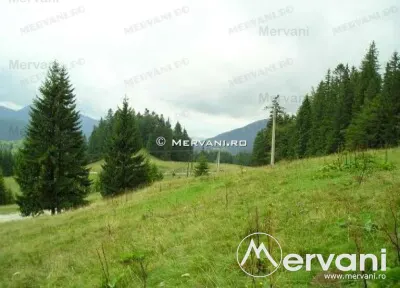 Teren de vanzare in Predeal (zona Forban) - foto 5