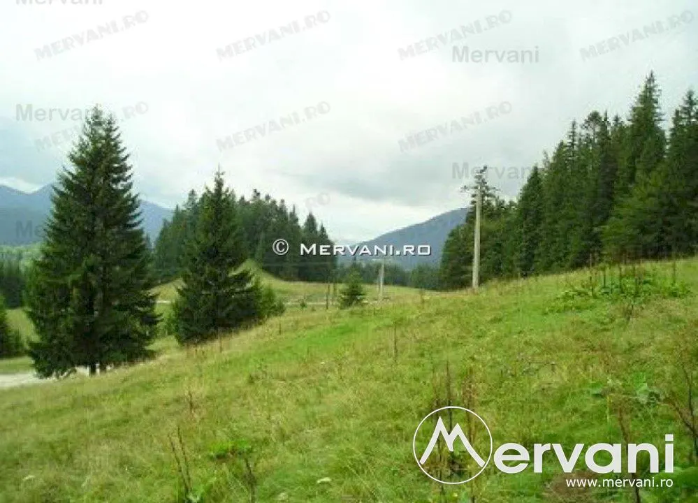 Teren de vanzare in Predeal (zona Forban) - foto 5