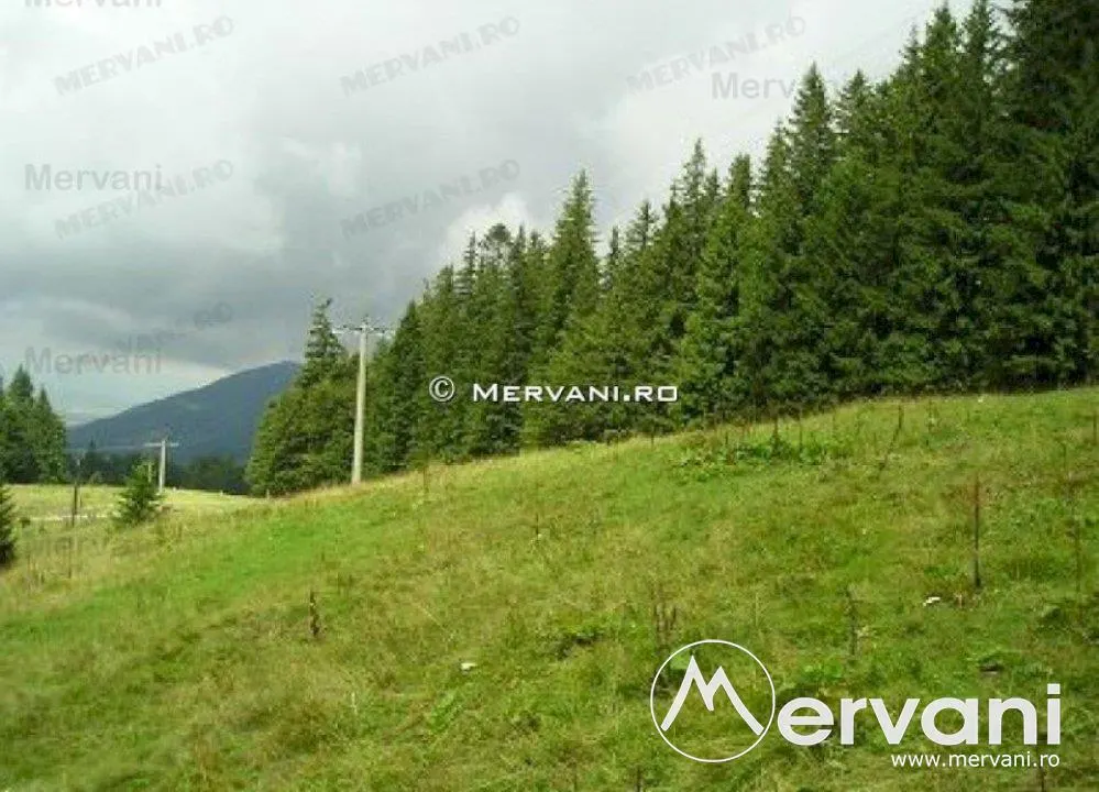 Teren de vanzare in Predeal (zona Forban) - foto 6