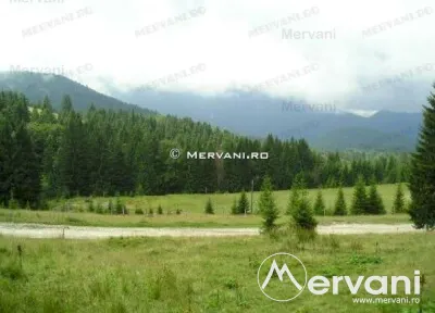 Teren de vanzare in Predeal (zona Forban) - foto 7