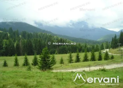 Teren de vanzare in Predeal (zona Forban) - foto 9