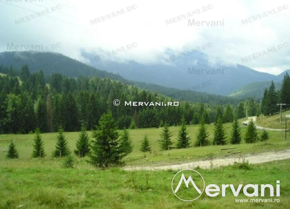 Teren de vanzare in Predeal (zona Forban) - foto 9