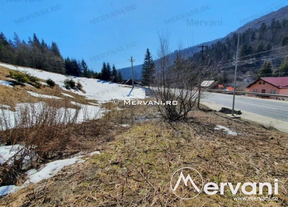 Teren de vanzare in Predeal (zona Malul Ursului) - foto 2