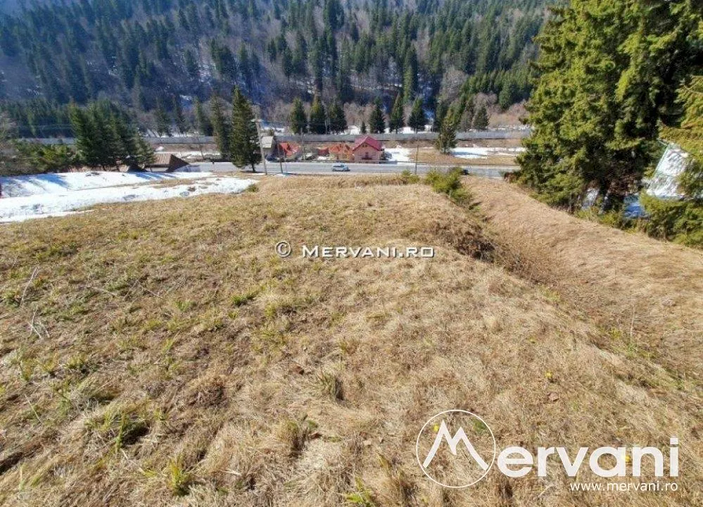 Teren de vanzare in Predeal (zona Malul Ursului) - foto 12