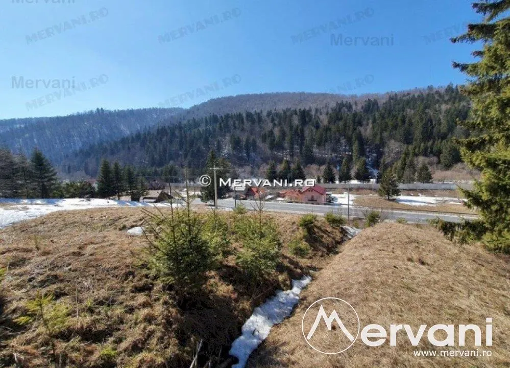 Teren de vanzare in Predeal (zona Malul Ursului) - foto 5